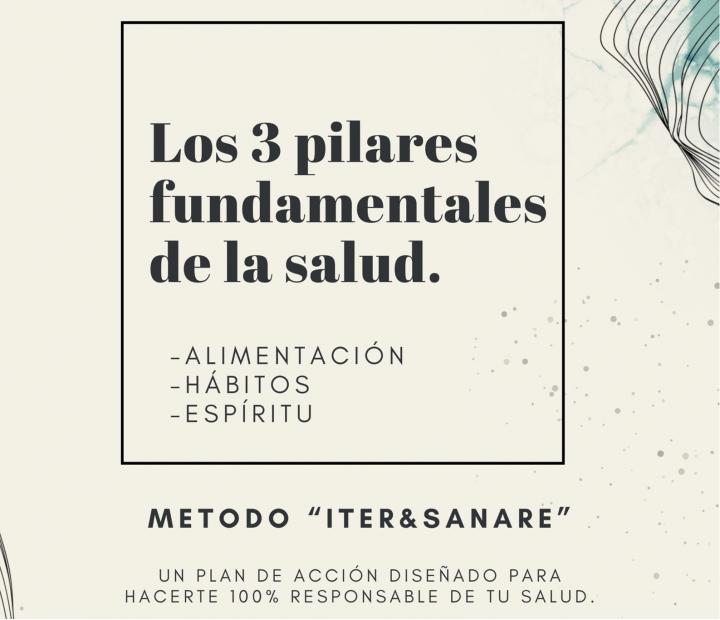 Los 3 pilares fundamentales de la salud