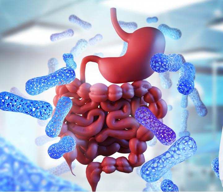Mejora tu salud intestinal: la importancia de la microbiota