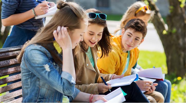 Técnicas de estudio y estudio dirigido. Primaria, 1º y 2º ESO