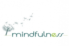 Conferencia. Introducción general al mindfulness